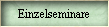 Einzelseminare
