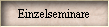Einzelseminare